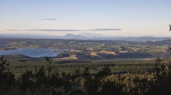 Rotorua - Bay of Plenty - NZ 