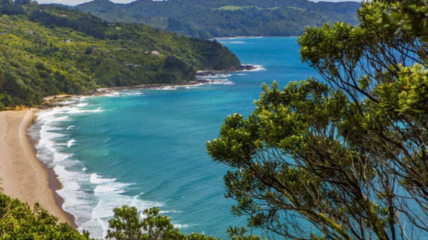 New Zealand Beach 