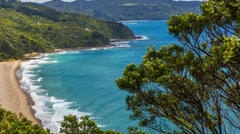 New Zealand Beach 