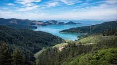 Picton - New Zealand 