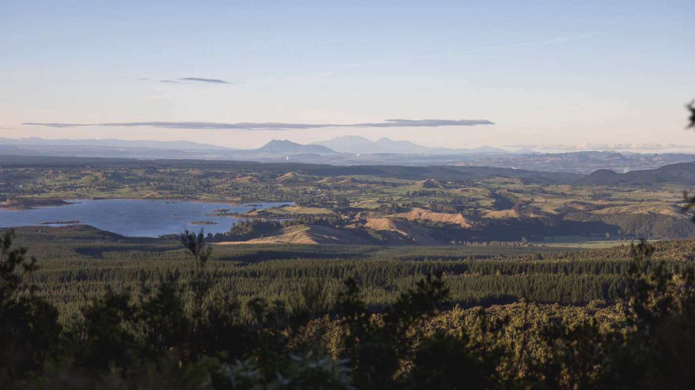 Rotorua - Bay of Plenty 