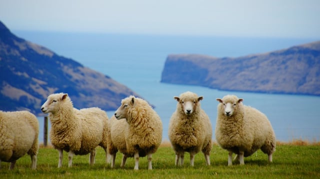 15-Day Wonders of Australia & New Zealand - Feb 2027