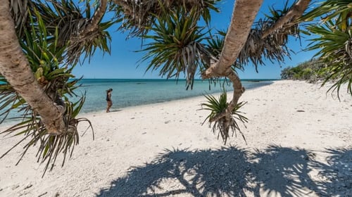 Lady Musgrave Island Experience