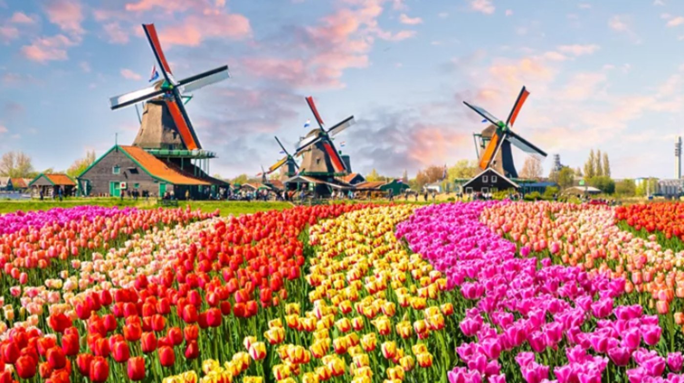 Keukenhof Gardens - Optional Experience
