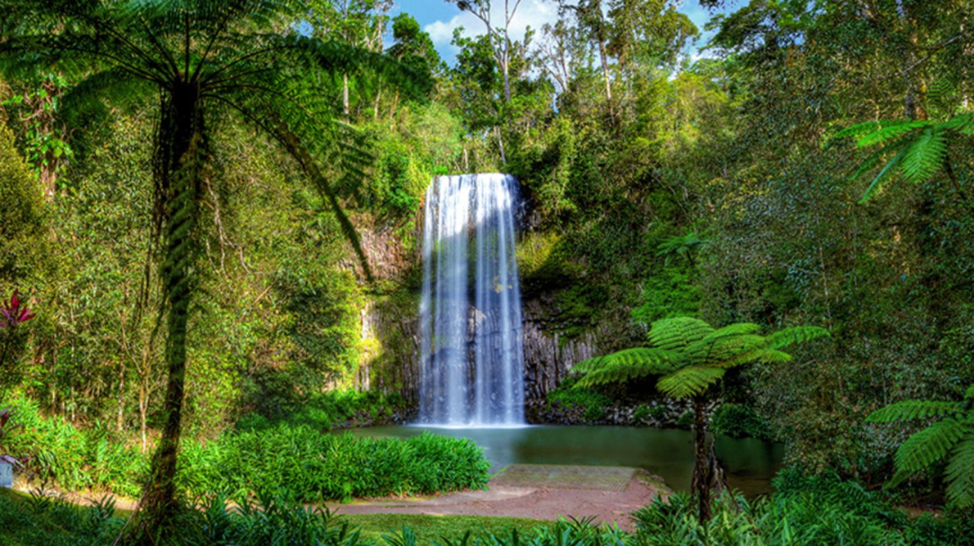  Cairns Waterfall, Queensland, Australia