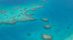 Fiji Reef 