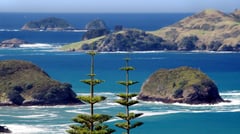 Norfolk Island