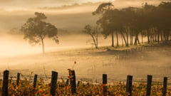 Margaret River, Western Australia, Australia