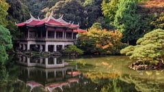 Tokyo Park, Japan 