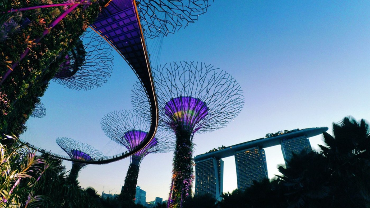Singapore Gardens 