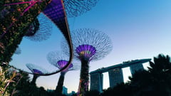 Singapore Gardens 