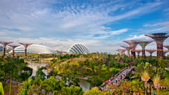 Singapore - Gardens by the Bay 