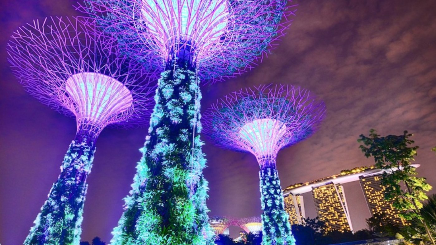 Singapore - Gardens by the Bay 