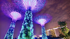 Singapore - Gardens by the Bay 