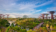 Singapore - Gardens by the Bay 
