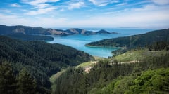 Picton, Marlborough, New Zealand