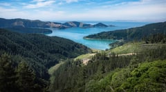 Picton, Marlborough, New Zealand