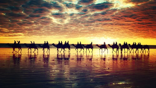 Camel Riding at Cable Beach, Broome