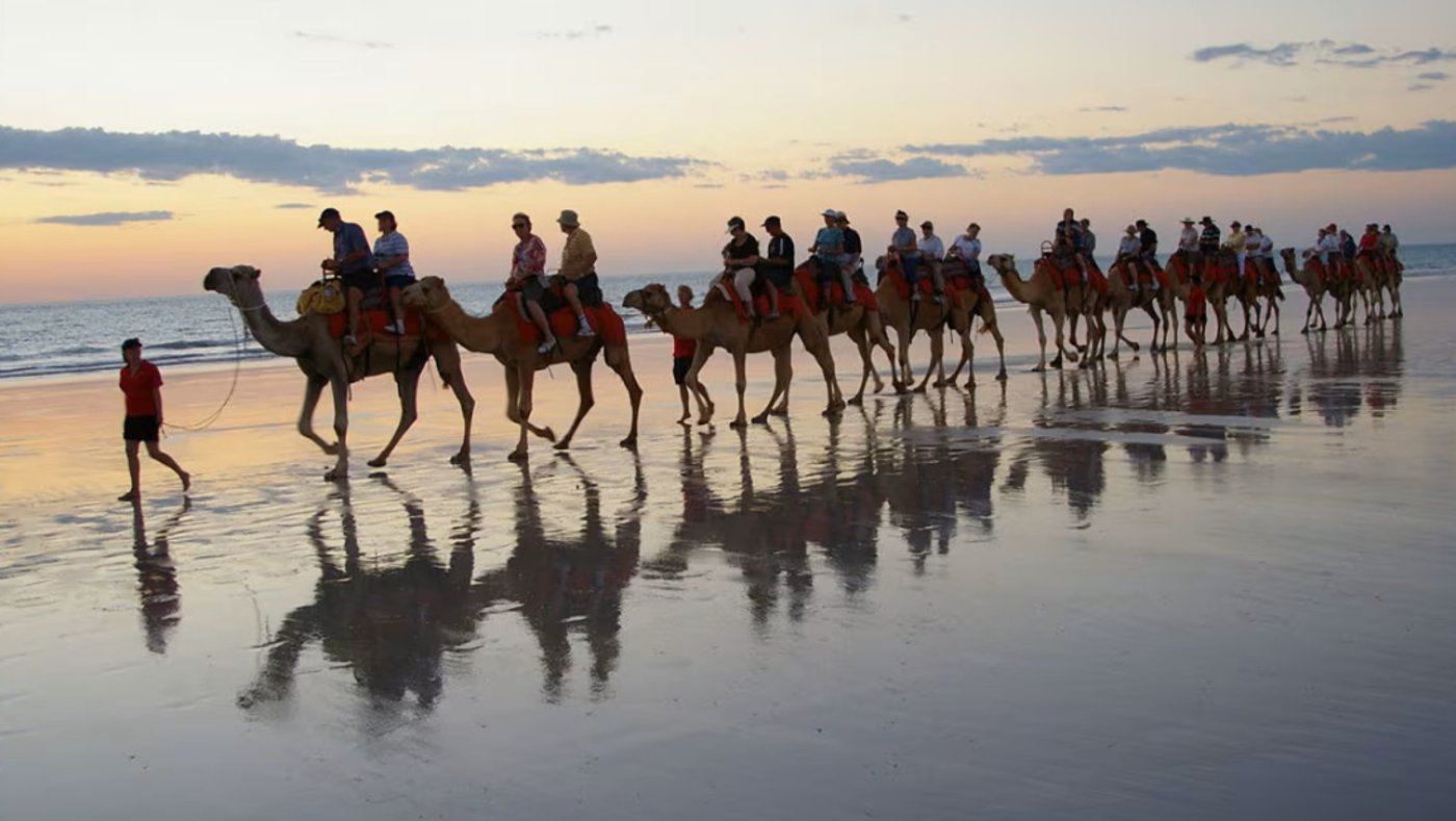 Broome Camel Ride at Dusk