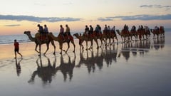 Broome Camel Ride at Dusk