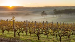 Margaret River, Western Australia, Australia