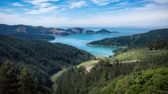 Picton, Marlborough, New Zealand