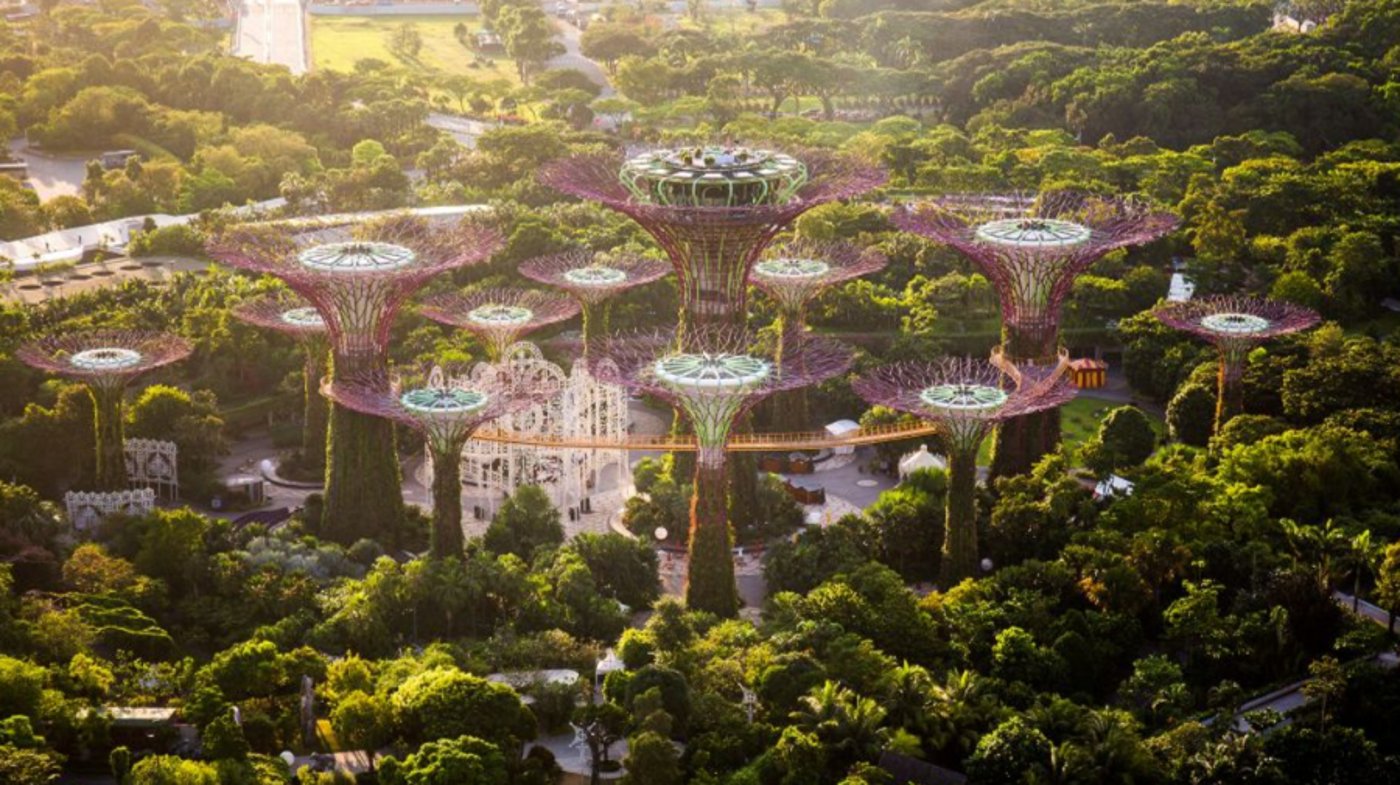 Singapore Gardens 