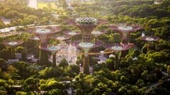 Singapore Gardens 