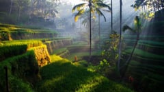 Bali, Indonesia