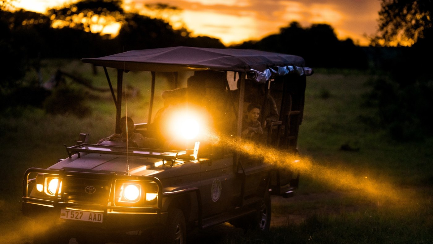 Night Safari drive