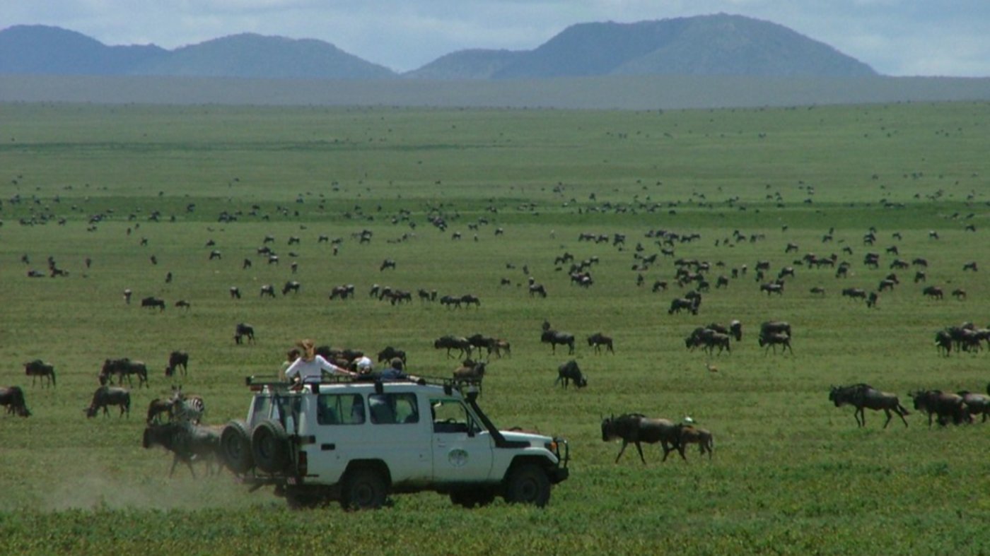 Serengeti Plains 
