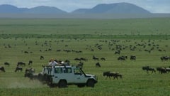 Serengeti Plains 