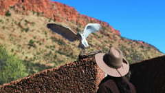  Alice Springs, Northern Territory, Australia