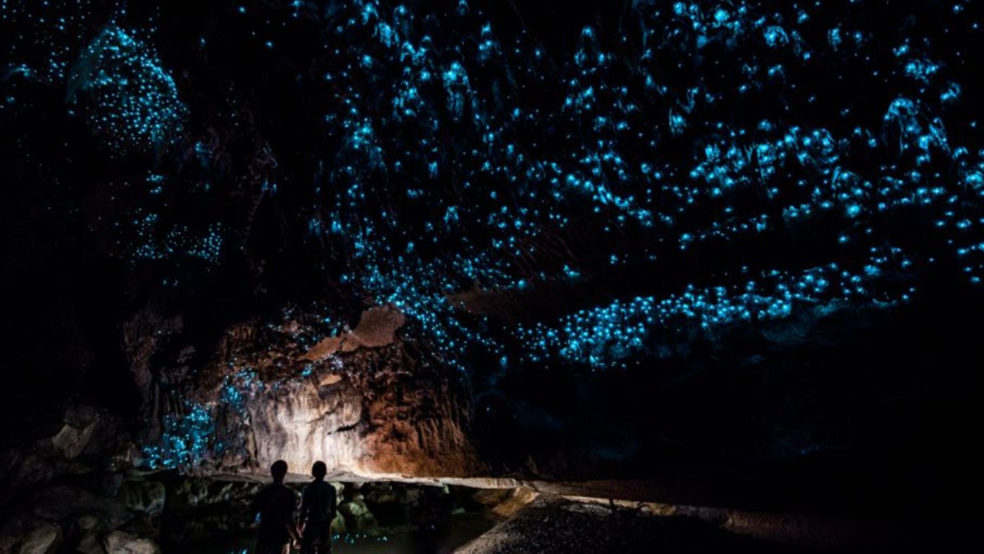 NZ-North-Island-Waitomo-Cave-Glow-worms