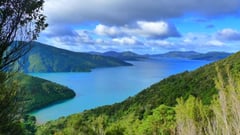 NZ-South-Island-Marlborough-Sounds-seen-from-Queen-Charlotte-Track