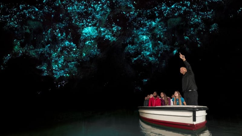 Waitomo_Glowworm_Caves