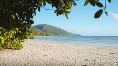 Cape Tribulation Beach
