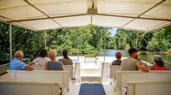Daintree River Cruise