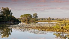 Kakadu - Northern Territory 