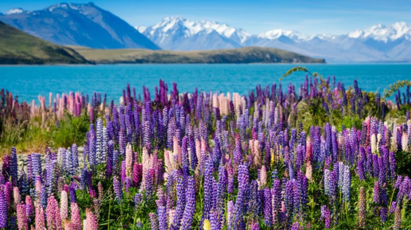 New Zealand Country 