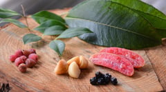 Aussie Bush Tucker Experience