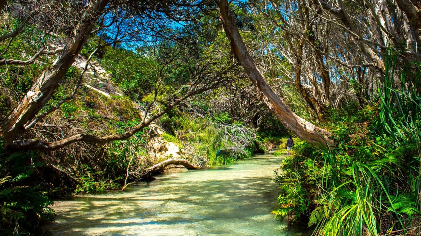Eli Creek