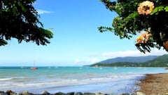 Airlie Beach, Queensland