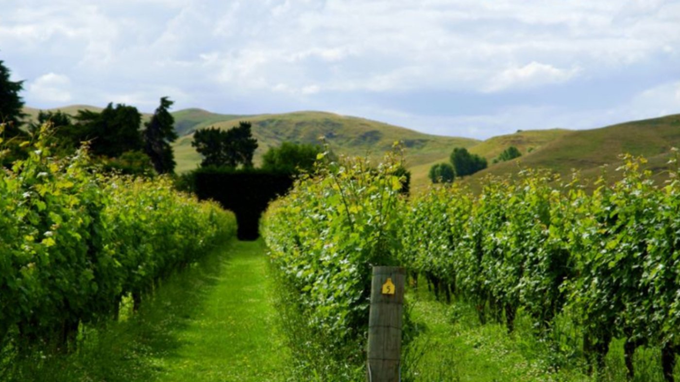 Napier, New Zealand - Winery 