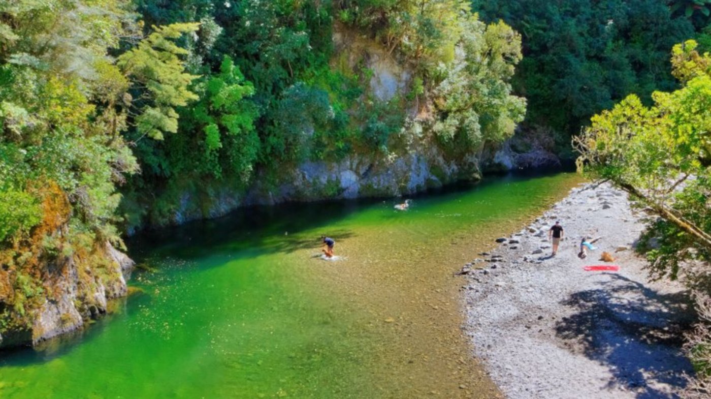 Wellington, New Zealand (Kaitoke Regional Park)