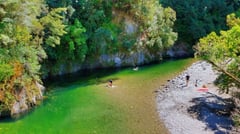 Wellington, New Zealand (Kaitoke Regional Park)
