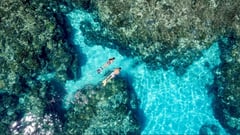 Reef Snorkelling on Heron Island