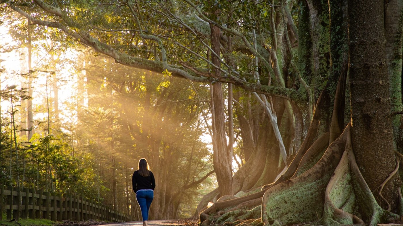 Nature - Norfolk Island 