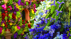 Chelsea Flower Show, London 
