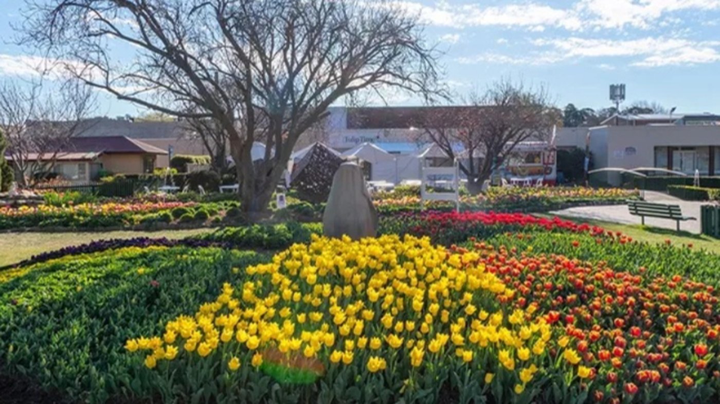 Bowral Garden 